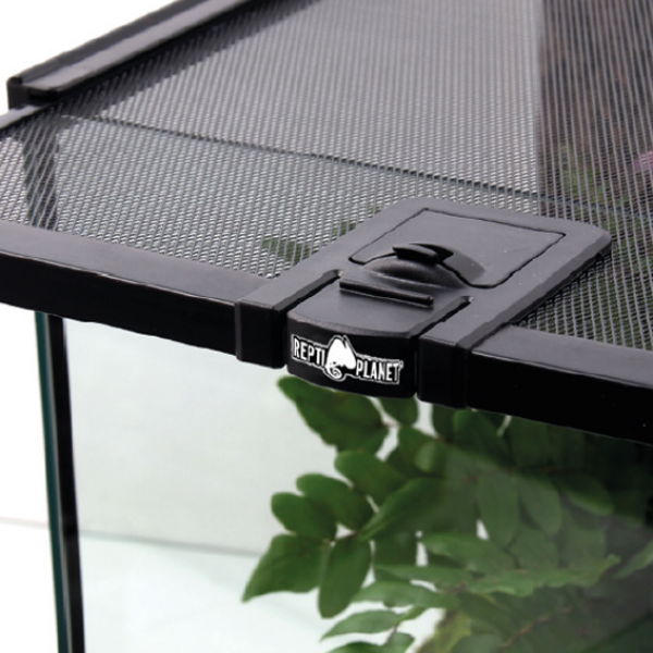 Preview: Mini Glas Terrarium